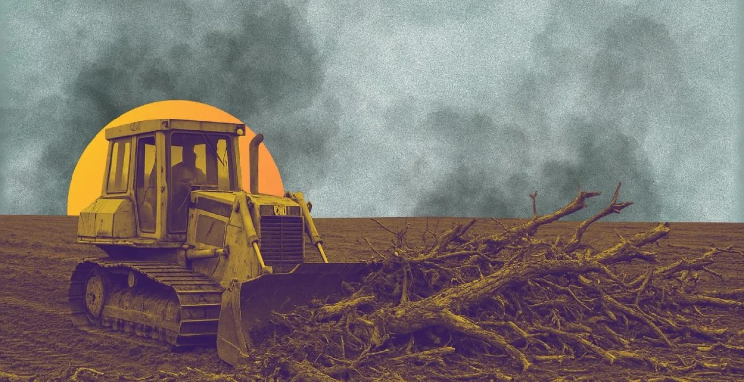 لماذا يفشل المزارعون في إحياء حقولهم؟