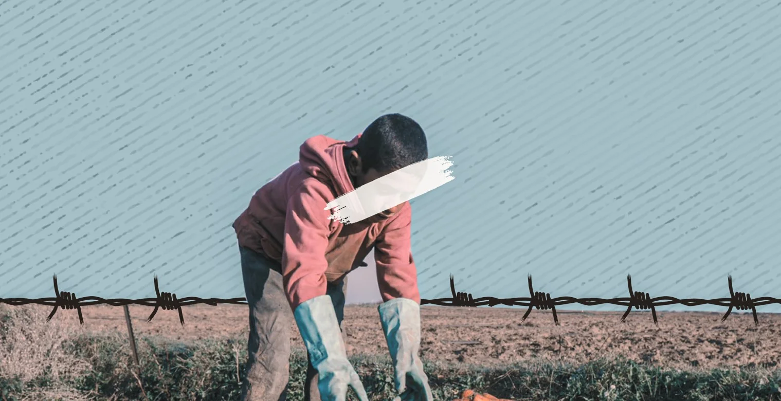 خسائر بالجملة: عن تجربة الزراعة على الحدود