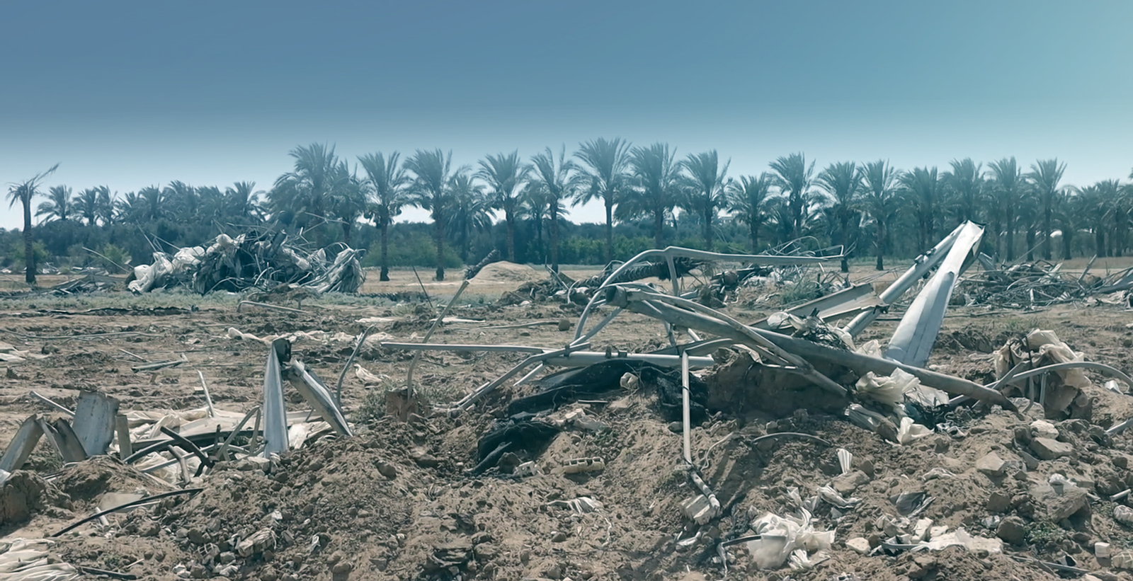 كيف دمر القصف تربة غزة وسمّم الغذاء؟